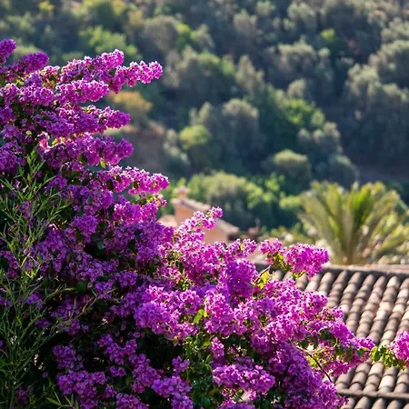 Verdera (adults Only) Hotel 4*