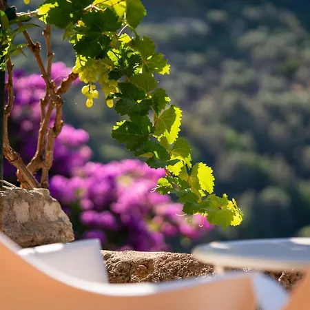Verdera (adults Only) Hotel
