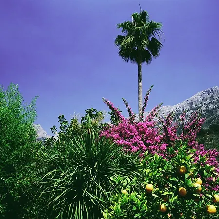 Hotel Verdera (adults Only) Fornalutx